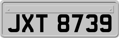 JXT8739