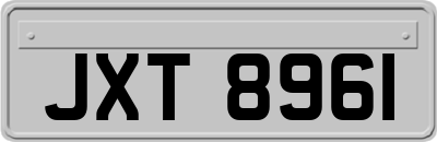 JXT8961