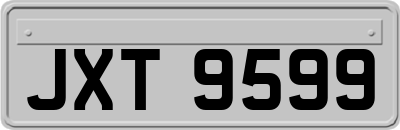 JXT9599