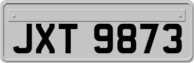 JXT9873