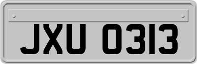 JXU0313