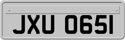 JXU0651