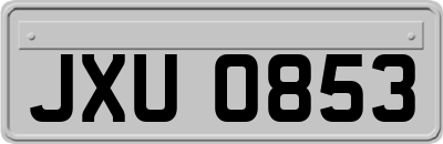 JXU0853