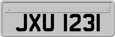 JXU1231