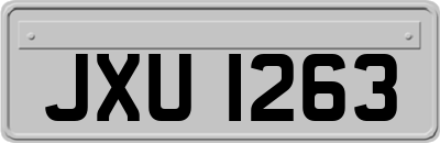 JXU1263