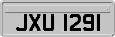 JXU1291