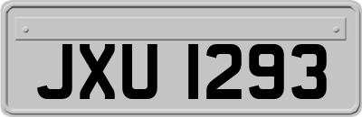 JXU1293
