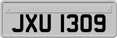 JXU1309