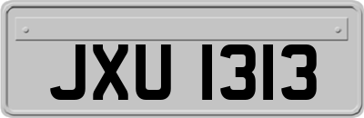 JXU1313