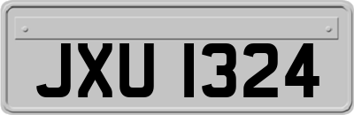 JXU1324