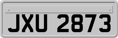 JXU2873