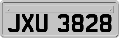 JXU3828