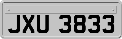 JXU3833