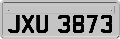 JXU3873