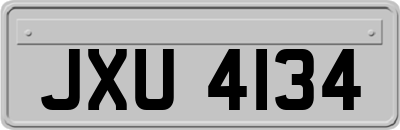 JXU4134