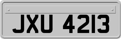 JXU4213