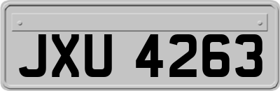 JXU4263
