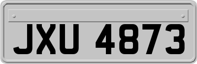 JXU4873