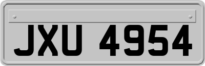 JXU4954