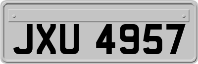 JXU4957