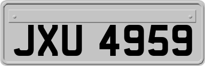 JXU4959