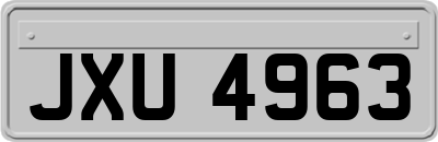 JXU4963
