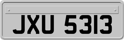 JXU5313