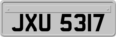 JXU5317