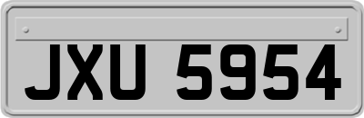 JXU5954