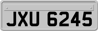 JXU6245
