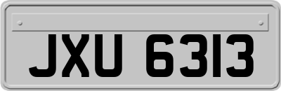 JXU6313