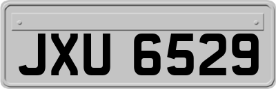 JXU6529