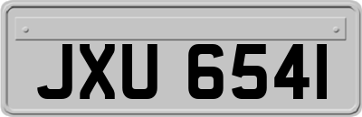 JXU6541