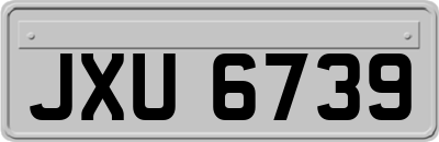 JXU6739