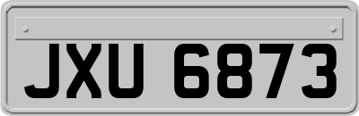JXU6873