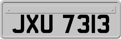 JXU7313