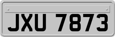 JXU7873