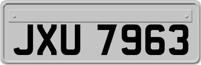 JXU7963