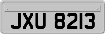 JXU8213
