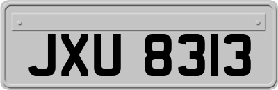 JXU8313