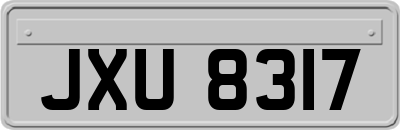 JXU8317
