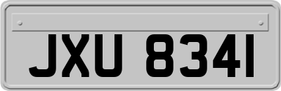 JXU8341