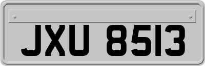 JXU8513