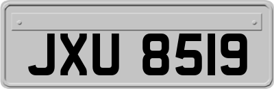 JXU8519