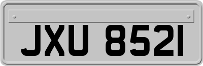 JXU8521