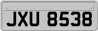 JXU8538
