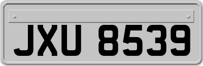 JXU8539