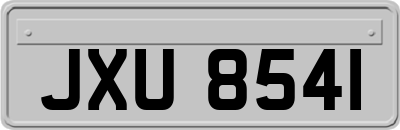 JXU8541