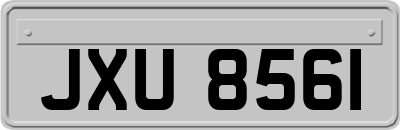 JXU8561
