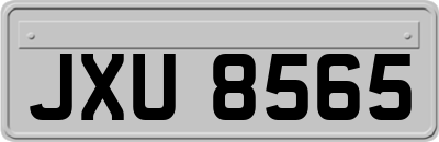 JXU8565